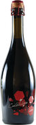 Pederzana Cantolibero Lambrusco Grasparossa di Castelvetro 2016  Front Bottle Shot