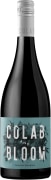 Colab and Bloom Cabernet Sauvignon 2021  Front Bottle Shot