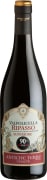 Antiche Terre Venete Valpolicella Ripasso Vegroni 2019  Front Bottle Shot