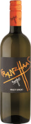 Franz Haas Pinot Grigio 2024  Front Bottle Shot