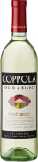 Francis Ford Coppola Rosso and Bianco Pinot Grigio 2018  Front Bottle Shot