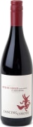Dancing Coyote Petite Sirah 2013 Front Bottle Shot