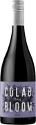 Colab and Bloom Shiraz 2021  Front Bottle Shot