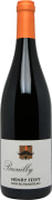 Henry Fessy Brouilly 2013  Front Bottle Shot