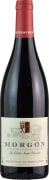 Domaine Desvignes Morgon La Voute Saint-Vincent 2024  Front Bottle Shot