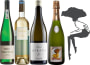 Iconic White Wines of Spain Tasting Set Gift Product Image