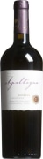 Apaltagua Reserva Carmenere 2019  Front Bottle Shot
