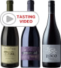 Oregon's Trailblazing Winemakers Set with Tasting Video Gift Product Image