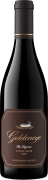 Goldeneye Ten Degrees Anderson Valley Pinot Noir 2021  Front Bottle Shot