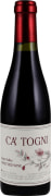 Philip Togni Ca' Togni (375ML half-bottle) 2010  Front Bottle Shot
