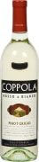 Francis Ford Coppola Rosso and Bianco Pinot Grigio 2015 Front Bottle Shot