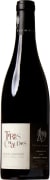 Thierry Germain Saumur Champigny Terres Chaudes 2023 Front Bottle Shot