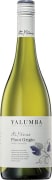 Yalumba Y Series Pinot Grigio 2015 Front Bottle Shot
