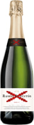 Ramon Raventos Cava Brut Front Bottle Shot