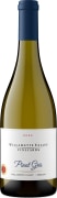 Willamette Valley Vineyards Pinot Gris 2024  Front Bottle Shot