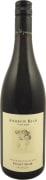 Andrew Rich Prelude Pinot Noir 2018  Front Bottle Shot