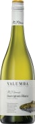Yalumba Y Series Sauvignon Blanc 2016 Front Bottle Shot