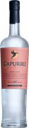 Capurro Moscatel Pisco 2016 Front Bottle Shot