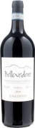 La Valentina Bellovedere Montepulciano d'Abruzzo Terre dei Vestini Riserva 2019  Front Bottle Shot
