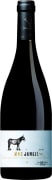 Mas Janeil Cotes du Roussillon Villages 2013  Front Bottle Shot