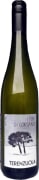 Terenzuola I Pini di Corsano Vermentino 2024 Front Bottle Shot