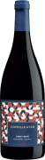 Complicated Pinot Noir 2020  Front Bottle Shot