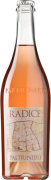 Cantina Paltrinieri Radice Lambrusco di Sorbara 2021  Front Bottle Shot