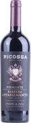 Ricossa Appassimento Barbera 2021  Front Bottle Shot