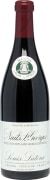 Louis Latour Nuits-Saint-Georges 2005  Front Bottle Shot