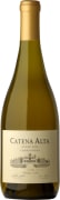 Catena Alta Chardonnay 2021  Front Bottle Shot