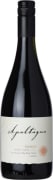 Apaltagua Reserva Pinot Noir 2019  Front Bottle Shot