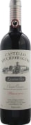 Castello Vicchiomaggio Agostino Petri Chianti Classico Riserva 2015  Front Bottle Shot