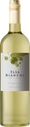 Elsa Bianchi Torrontes 2016 Front Bottle Shot