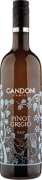 Candoni Pinot Grigio 2023 Front Bottle Shot