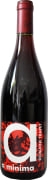 Domaine Trapet Pere et Fils Bourgogne Passetoutgrain A Minima 2022  Front Bottle Shot
