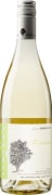 Cantine Elvio Tintero Vino Bianco 2022  Front Bottle Shot