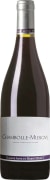 Domaine Sigaut Chambolle-Musigny 2021  Front Bottle Shot
