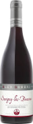 Alex Gambal Savigny-les-Beaune Grands Picotins 2017  Front Bottle Shot