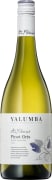 Yalumba Y Series Pinot Grigio 2016 Front Bottle Shot