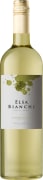 Elsa Bianchi Torrontes 2019 Front Bottle Shot