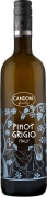 Candoni Pinot Grigio 2021  Front Bottle Shot