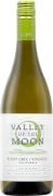 Valley of the Moon Pinot Gris-Viognier 2021  Front Bottle Shot