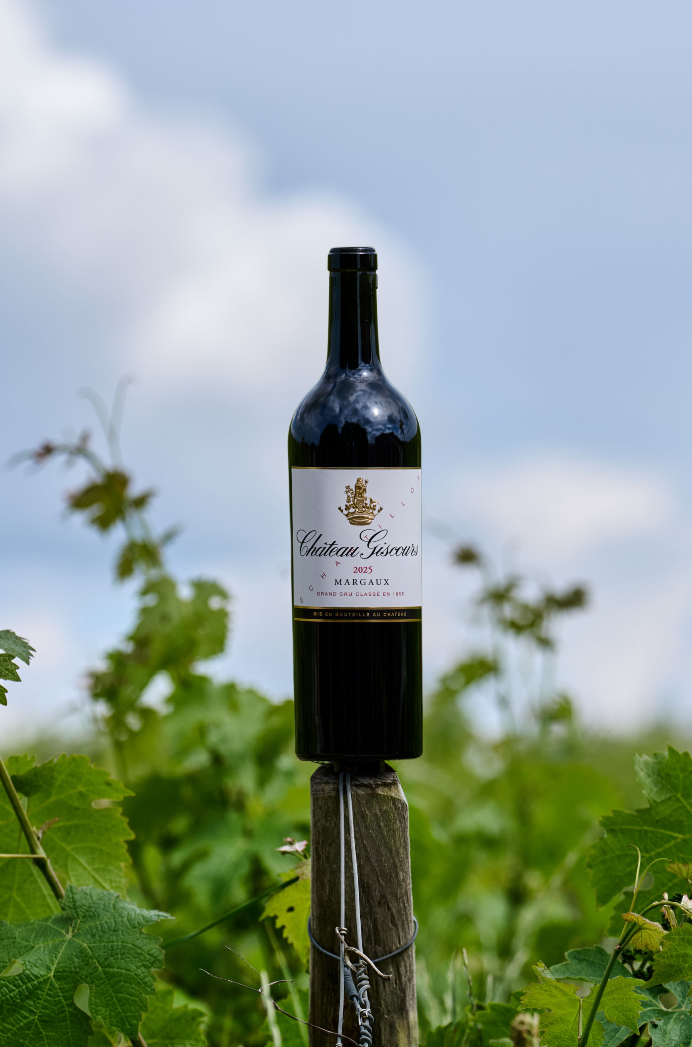 Chateau Giscours (Futures Pre-Sale) 2025 | Wine.com