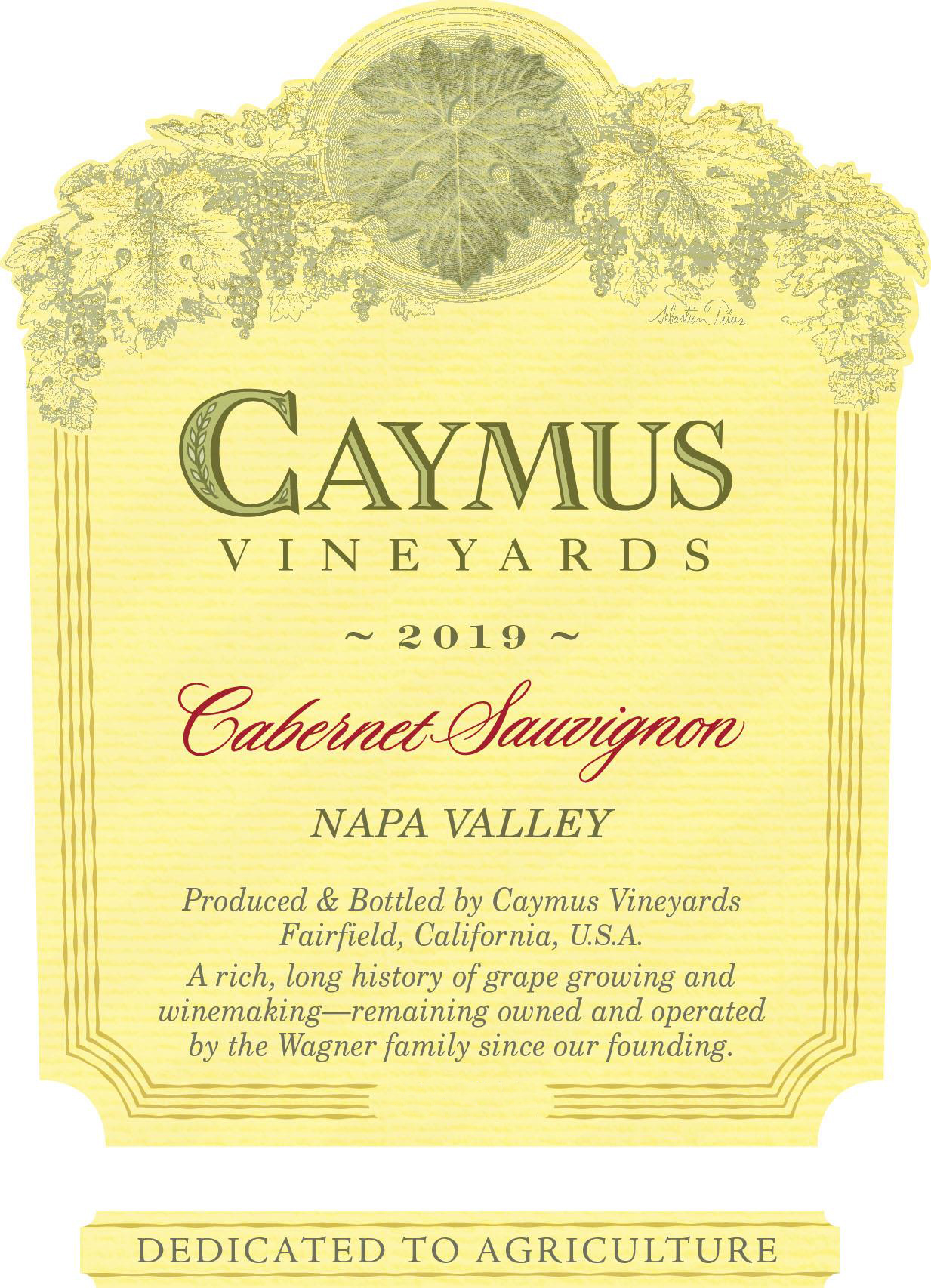 Caymus Napa Valley Cabernet Sauvignon (1 Liter Bottle) 2019 | Wine.com