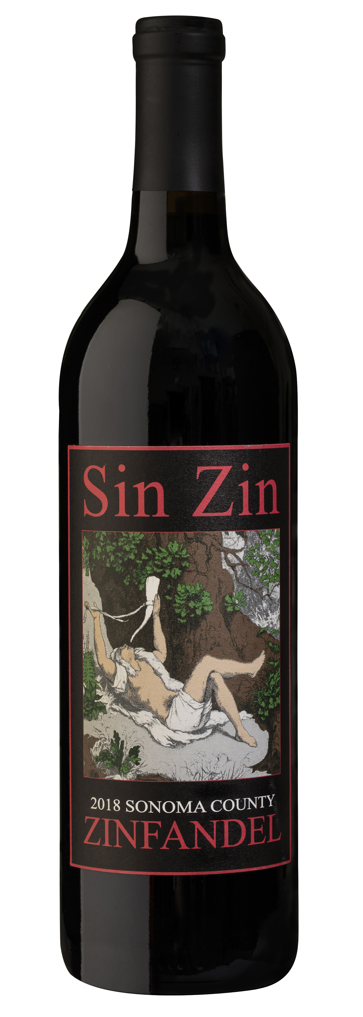 Alexander Valley Vineyards Sin Zin Zinfandel 2018 | Wine.com