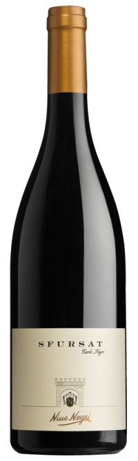 Nino Negri Sfursat Valtellina 2019 | Wine.com