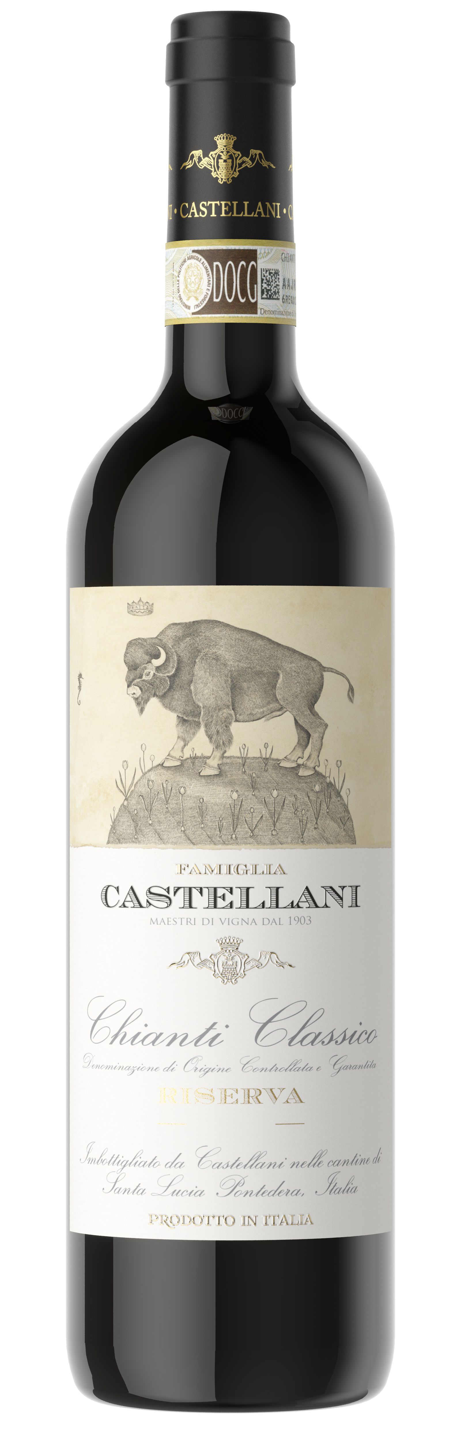 Castellani Chianti Classico Riserva 2016 | Wine.com