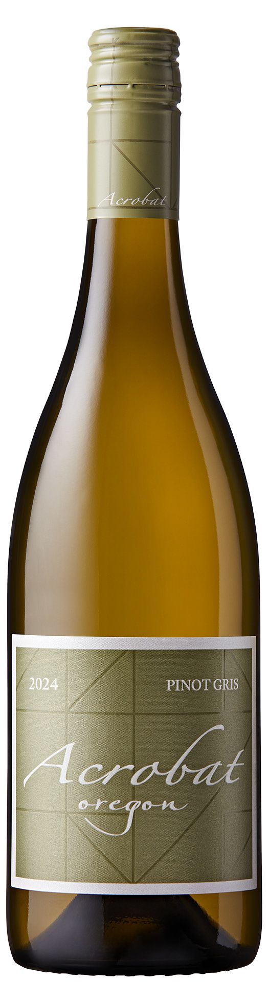 Acrobat Pinot Gris 2024 | Wine.com
