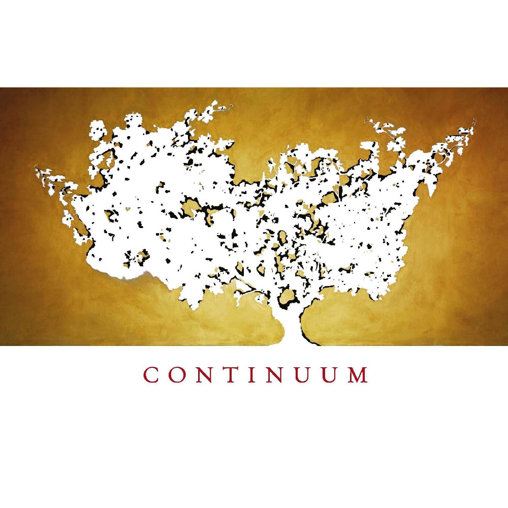 Continuum 2013 | Wine.com