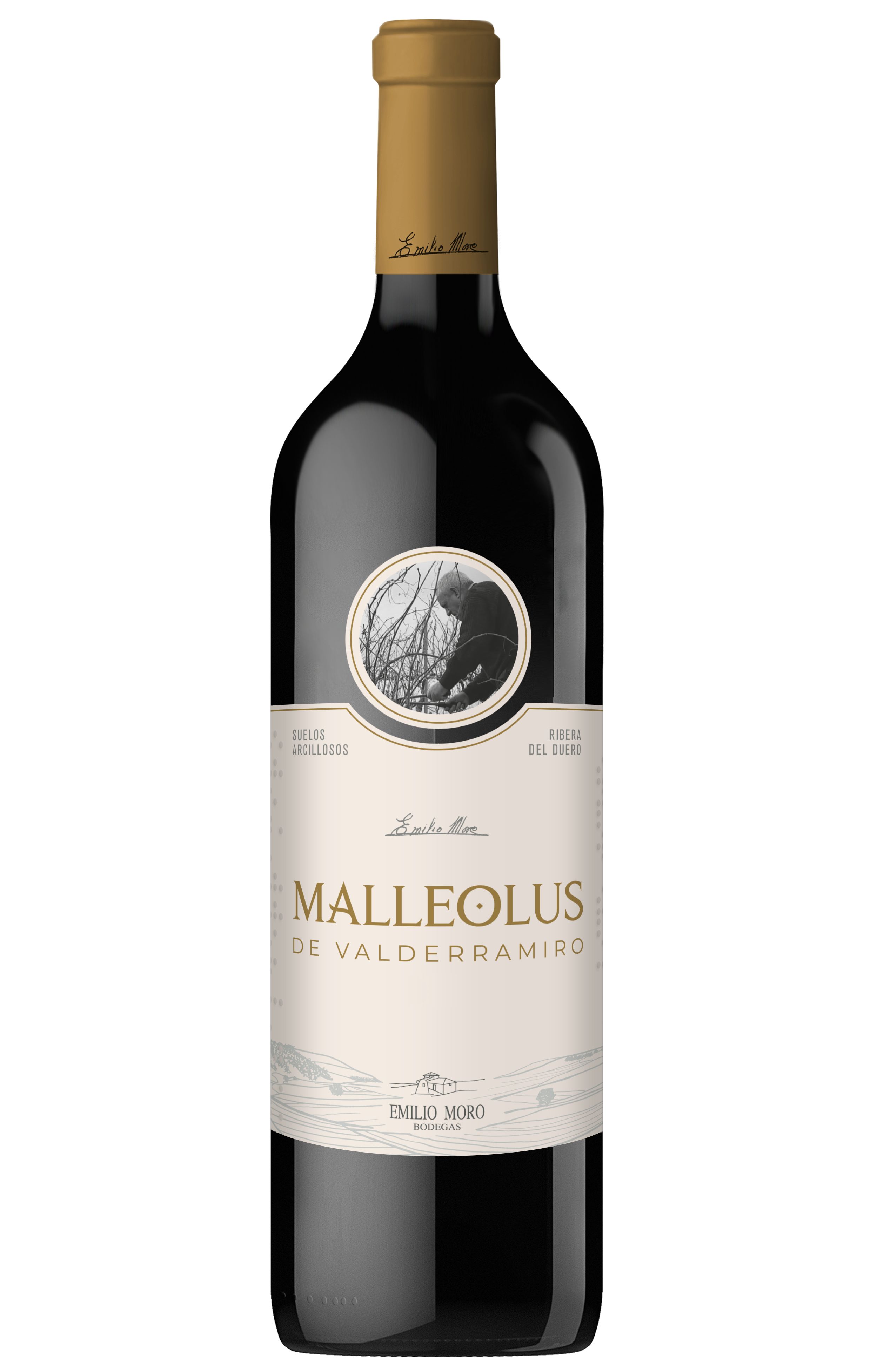 Emilio Moro Malleolus de Valderramiro 2021 | Wine.com